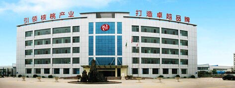 案例展示